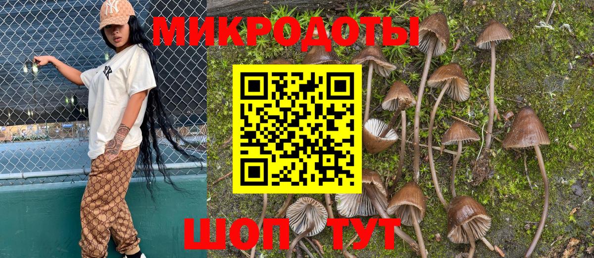 Касимов  Псилоцибиновые грибы Psilocybine cubensis  Вход с VPN 
